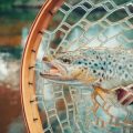 The Best Time to Go Salmon Fly Fishing in Scotland: Seasonal Insights and Local Tips