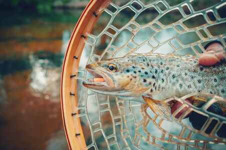 The Best Time to Go Salmon Fly Fishing in Scotland: Seasonal Insights and Local Tips