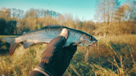 Fly Reel Recommendations from British Fishing Guides: What the Pros Use