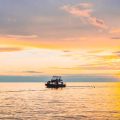 Impact of Closed Seasons on Biodiversity and Fish Population Recovery