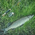 Understanding the Evolution of Feeder Fishing Gear and Setups in British Angling Culture