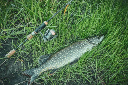 Understanding the Evolution of Feeder Fishing Gear and Setups in British Angling Culture