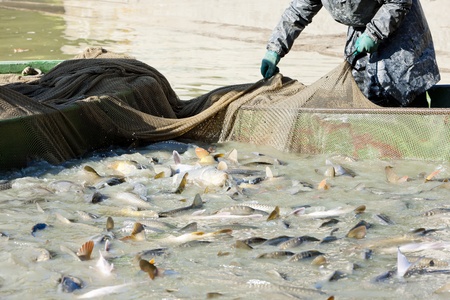 The Impact of Female Participation on British Coarse and Game Fishing