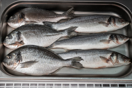 Method Feeders vs. Cage Feeders: Choosing the Right Approach for UK Coarse Fishing