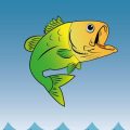 Traditional vs. Modern Feeder Fishing Setups: What Works Best for British Anglers?