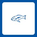 Fishing as a Tourist in the UK: Rod Licence Requirements for Visitors