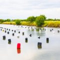 Top 10 Mackerel Fishing Marks around the British Isles: Local Angler Insights