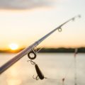 Best Fly Reels for Beginners Fishing British Rivers: An Entry-Level Guide