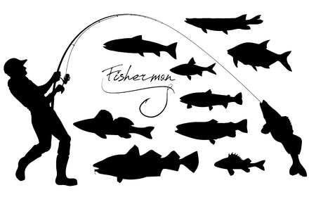 Choosing Lures: Local Favourites and Proven Patterns