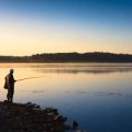 Seasonal Shore Fishing in the UK: Best Times and Places Throughout the Year