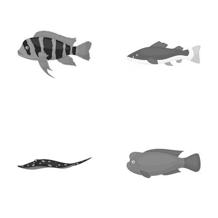 Local Flavours: British Fish to Target