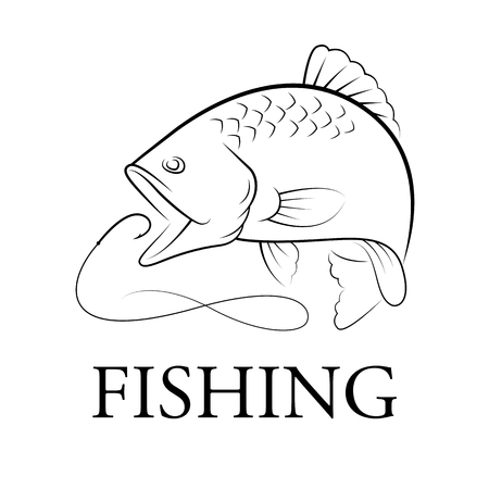 Groundbait Delivery Methods