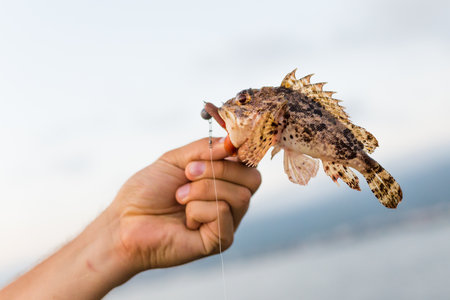 The Role of Non-Native Species in UK Fisheries: Management Challenges and Solutions