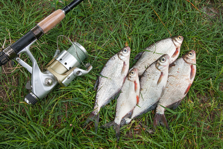 Budget Fish Finders Under £300: Great Value Options for UK Weekend Warriors