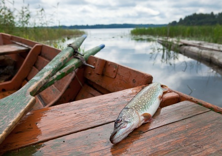 Barbel Fishing in Urban Rivers: Challenges and Opportunities Across the UK