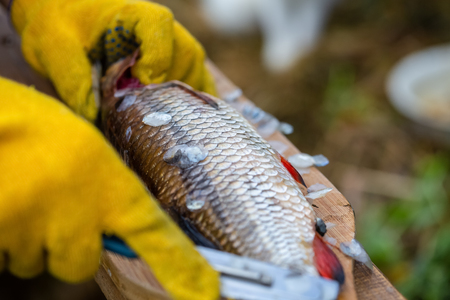 Winter Pike Fishing in the UK: Tips for Cold Weather Success