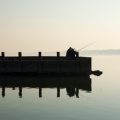 Collaboration Between Government Agencies and Angling Clubs for Long-Term Fisheries Sustainability in the UK