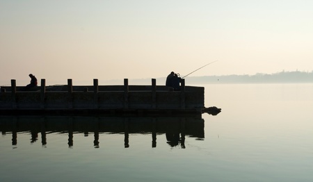 Collaboration Between Government Agencies and Angling Clubs for Long-Term Fisheries Sustainability in the UK