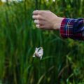 Native Insects and Effective Imitations: Fly Tying for British Trout