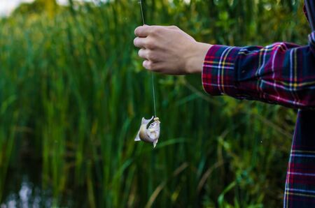 Native Insects and Effective Imitations: Fly Tying for British Trout