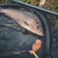 Sustainable and Eco-Friendly Scottish Fishing Holidays: What to Look For
