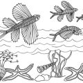 The Science Behind Catch and Release: Ensuring Fish Welfare in the UK