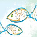 Best Fish Finders for Carp Fishing: Reviews and Essential Features for UK Lakes