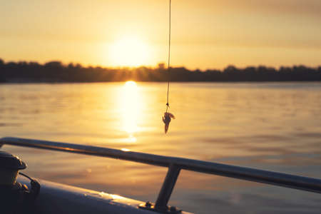 Step-by-Step Prep: Building the Perfect UK Match Fishing Station and Organisation Tips