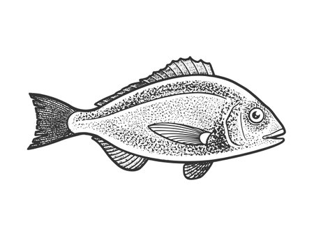 Classic Techniques: How to Rig and Present Live Bait for UK Bass