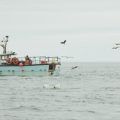 Unmissable Premier Sea Fishing Spots in England, Scotland, Wales, and Northern Ireland