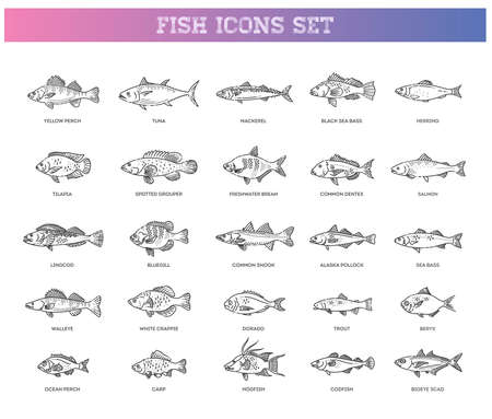 Developments in Tackle and Techniques