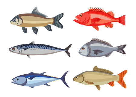 Impact of Temperature on Fish Physiology and Recovery