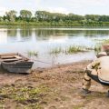 The History of Non-Native Species in British Fishing: An In-Depth Analysis