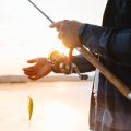 Feeder vs Match Fishing: Essential Gear Comparison from Bargain to Premium