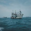 Garmin vs Humminbird vs Lowrance: Which Fish Finder Reigns Supreme for UK Fishermen?