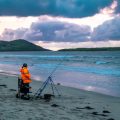 Ecotourism and Marine Wildlife Encounters on Guided Sea Fishing Trips in the UK
