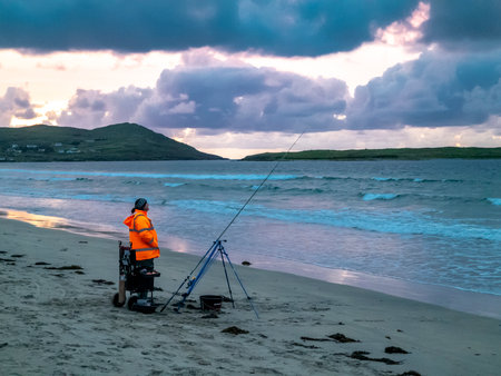 Ecotourism and Marine Wildlife Encounters on Guided Sea Fishing Trips in the UK