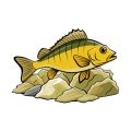 Regulations, Licences, and Etiquette: The British Angler’s Guide to Stillwater Trout Fishing