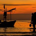 Weather and Tides: Understanding UK Conditions for Safer Night Fishing