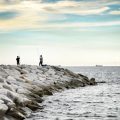Exploring Family-Friendly Sea Fishing Festivals Along the British Coastline