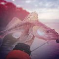 Hidden Gem Fishing Spots: Road Trip Adventures Through the UK’s Lesser-Known Waters