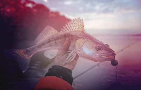 Hidden Gem Fishing Spots: Road Trip Adventures Through the UK’s Lesser-Known Waters