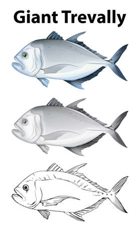 Fly Selection for Grayling in British Waters: Hatch Chart and Seasonal Recommendations