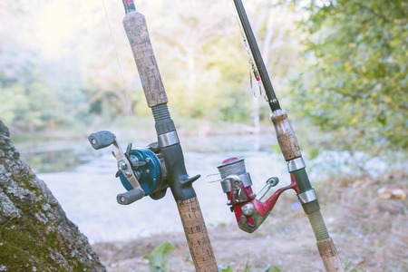 Packing for a Guided Sea Fishing Holiday in the UK: Essential Gear, Clothing, and Gadgets