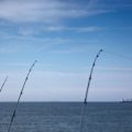 How Tides and Currents Affect Boat Fishing in the English Channel