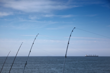 How Tides and Currents Affect Boat Fishing in the English Channel