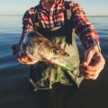 Feeder Rods, Reels, and Bait Tips for UK Coarse Fish: An In-Depth Analysis